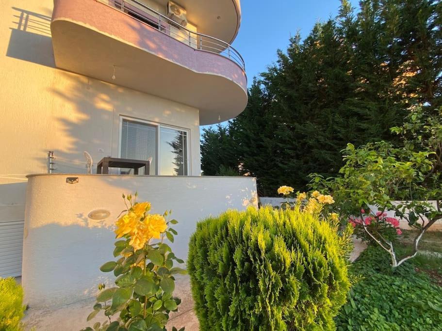 كساميل Guesthouse Xhimi المظهر الخارجي الصورة