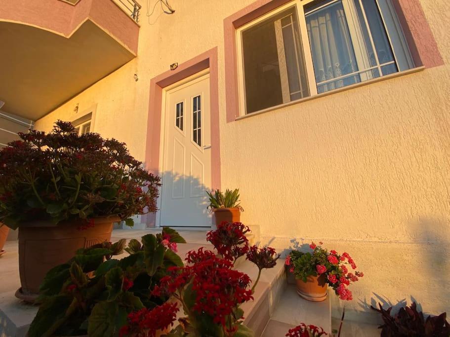 كساميل Guesthouse Xhimi المظهر الخارجي الصورة