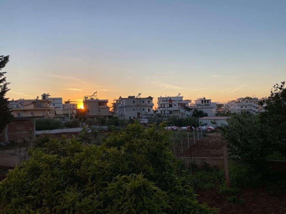 كساميل Guesthouse Xhimi المظهر الخارجي الصورة