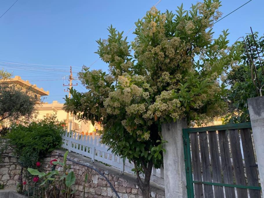 كساميل Guesthouse Xhimi المظهر الخارجي الصورة