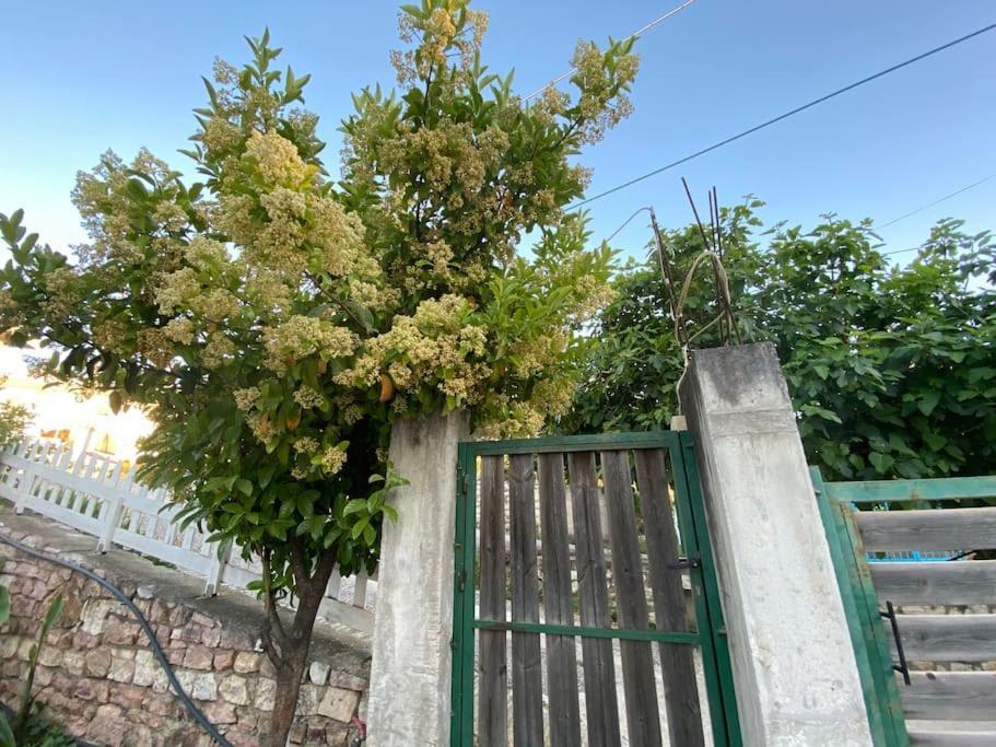 كساميل Guesthouse Xhimi المظهر الخارجي الصورة