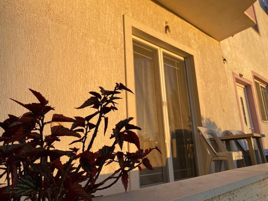 كساميل Guesthouse Xhimi المظهر الخارجي الصورة