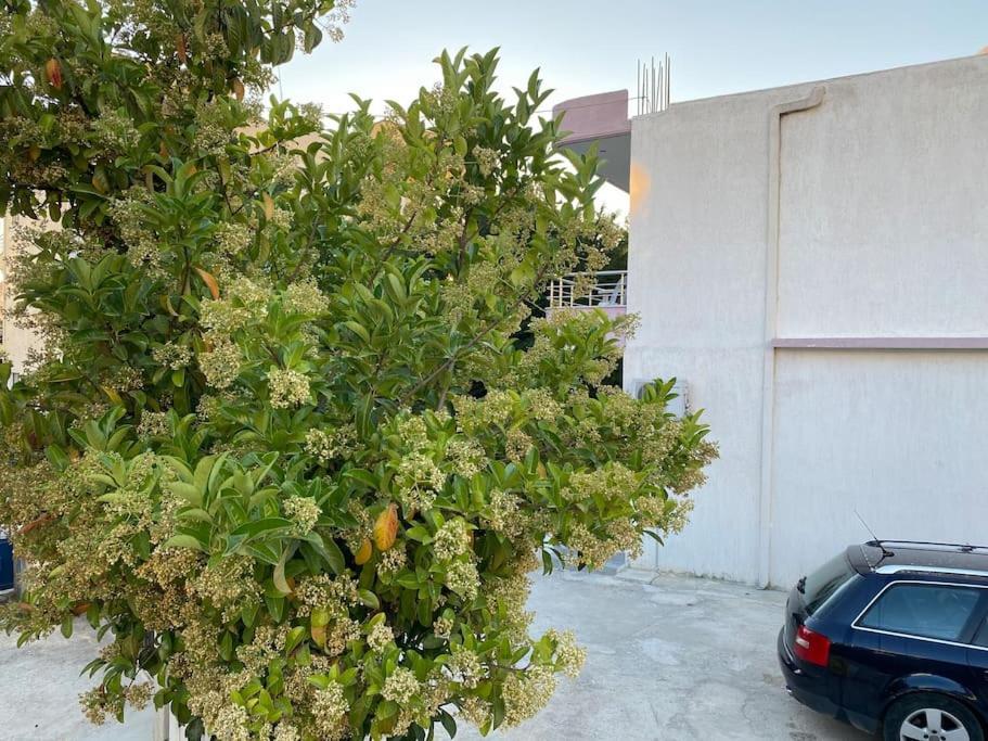 كساميل Guesthouse Xhimi المظهر الخارجي الصورة