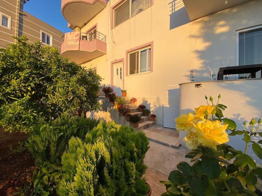 كساميل Guesthouse Xhimi المظهر الخارجي الصورة