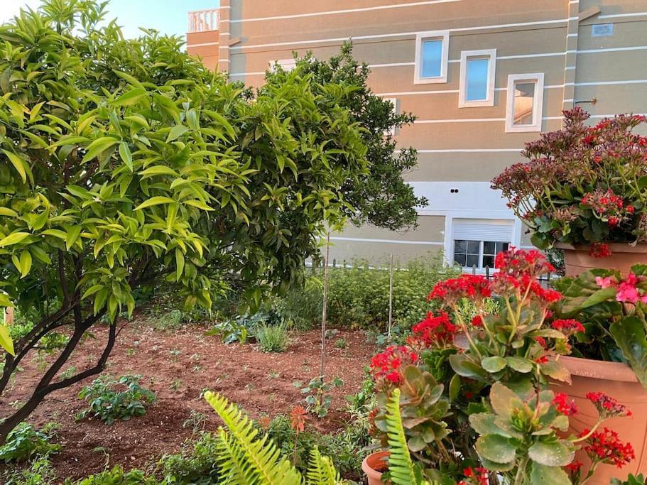 كساميل Guesthouse Xhimi المظهر الخارجي الصورة