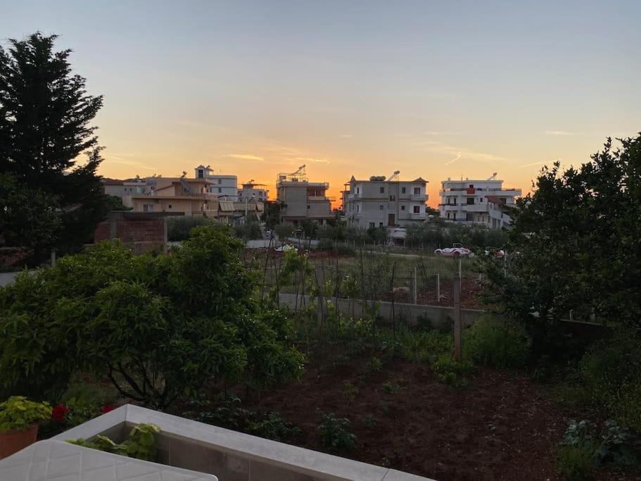 كساميل Guesthouse Xhimi المظهر الخارجي الصورة
